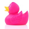 Canard uni