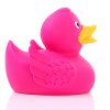 Canard uni