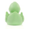 Canard uni