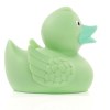 Canard uni