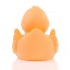 Canard uni