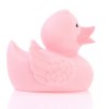 Canard uni