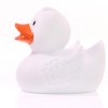 Canard uni