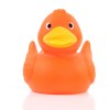 Canard uni