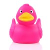 Canard uni