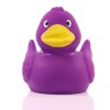Canard uni