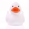 Canard uni