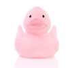 Canard uni
