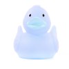 Canard uni