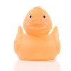 Canard uni