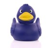 Canard uni