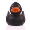 Canard uni