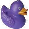 Canard Magique