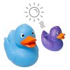 Canard Magique