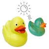 Canard Magique