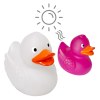 Canard Magique