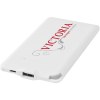 Batterie de secours WS119 4000 mAh