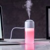 Humidificateur - Trudy