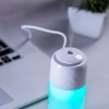 Humidificateur - Trudy