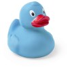 Canard - Koldy