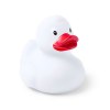 Canard - Koldy