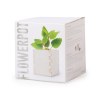 Pot de Fleurs - Merin