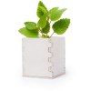Pot de Fleurs - Merin
