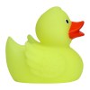 Canard