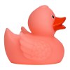 Canard