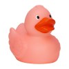 Canard