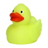 Canard