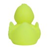 Canard