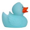 Canard