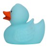 Canard