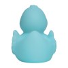 Canard