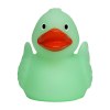 Canard