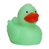 Canard