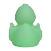 Canard