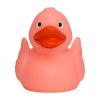 Canard