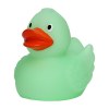 Canard