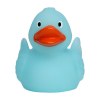 Canard