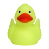 Canard