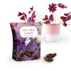 BOÎTE GOOD LUCK AVEC BULBES TRÈFLES 4 FEUILLES