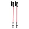 Pulpit Pulpit bâtons nordic walking