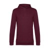 Sweat capuche #