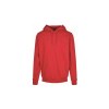Sweat capuche lourd