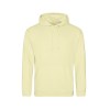 Sweat capuche