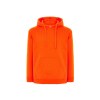 Sweat capuche 290