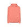 Sweat capuche 290