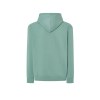 Sweat capuche 290